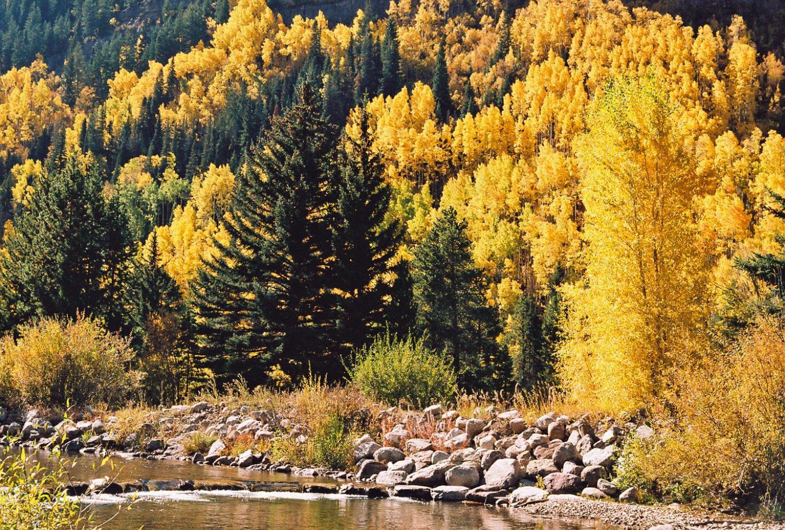 Vail Racquet Club Mountain Resort المظهر الخارجي الصورة
